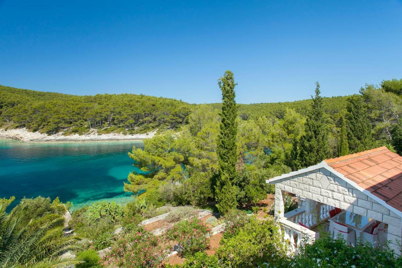 Waterfront Villa With Pool Vela Luka Kültér fotó