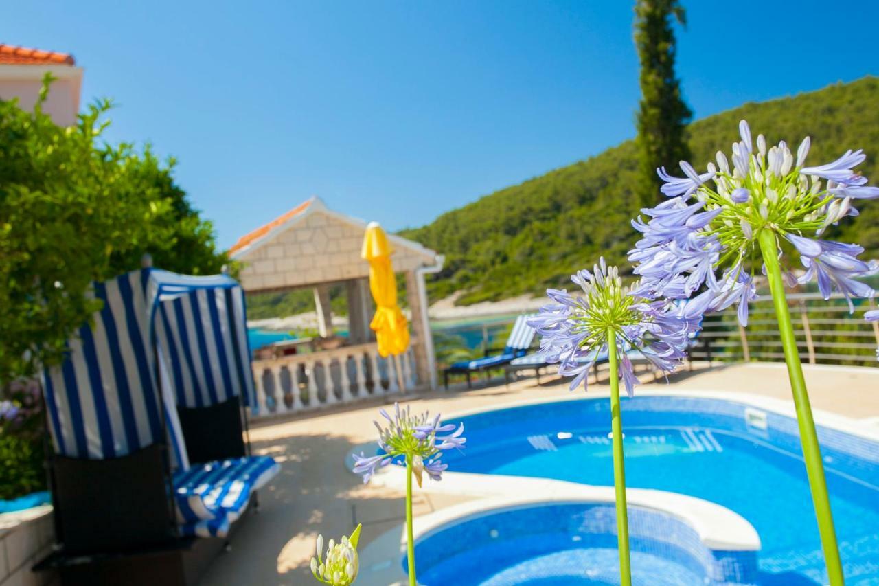 Waterfront Villa With Pool Vela Luka Kültér fotó